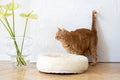 all dogs products all cats products all small animal products