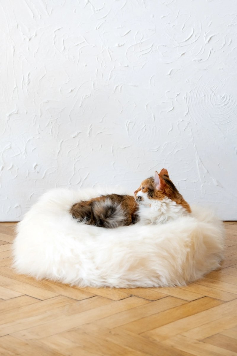 all dogs products all cats products all small animal products