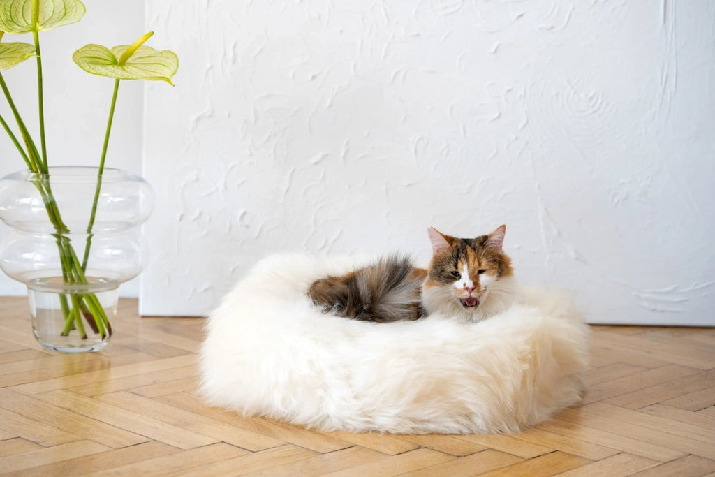 all dogs products all cats products all small animal products