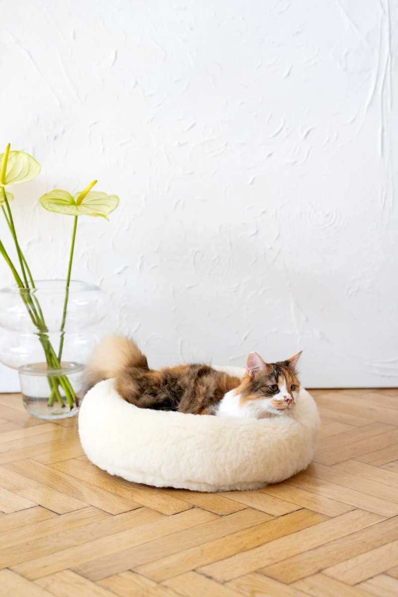 all dogs products all cats products all small animal products