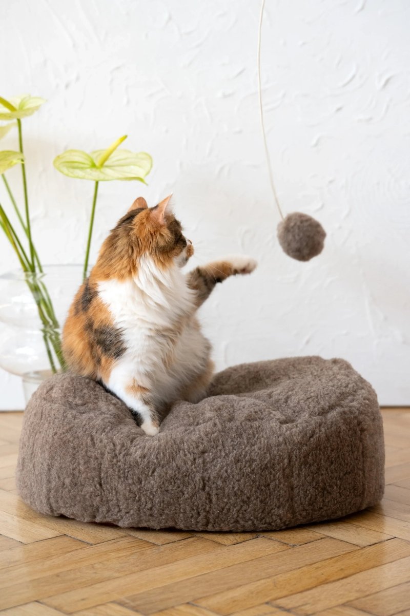 all dogs products all cats products all small animal products