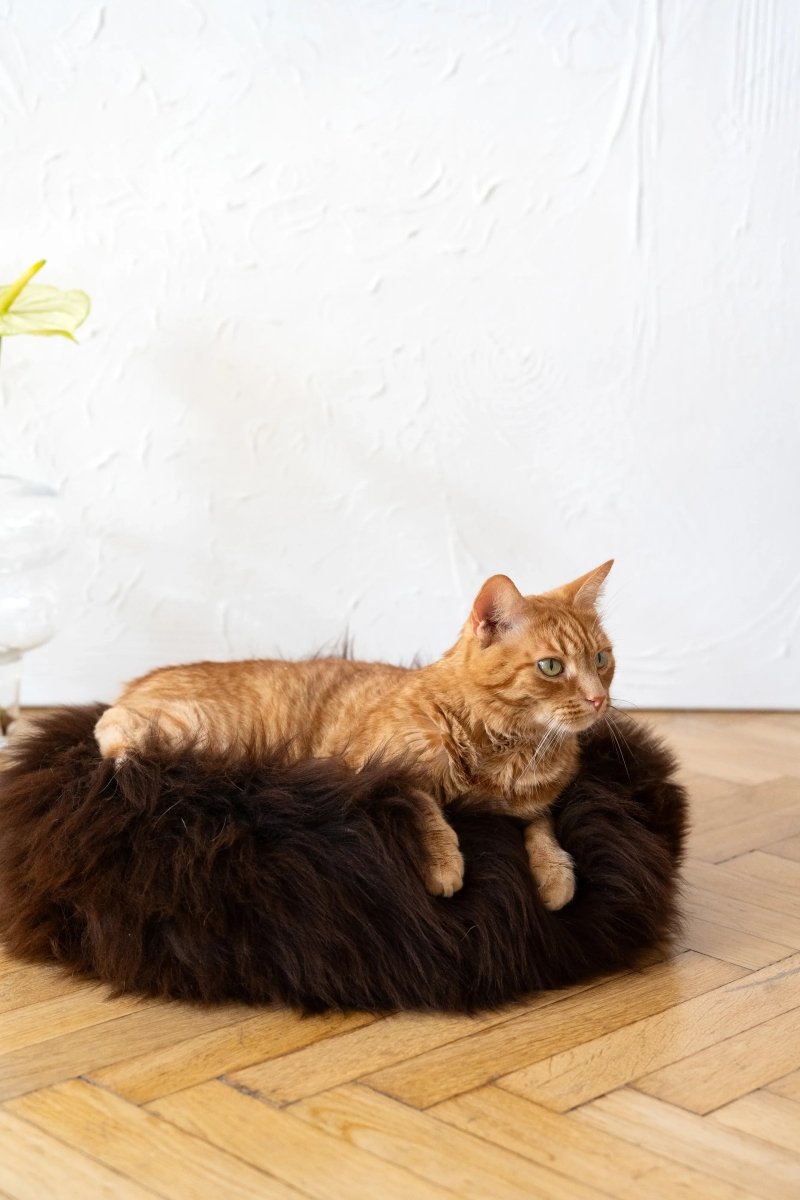 all dogs products all cats products all small animal products