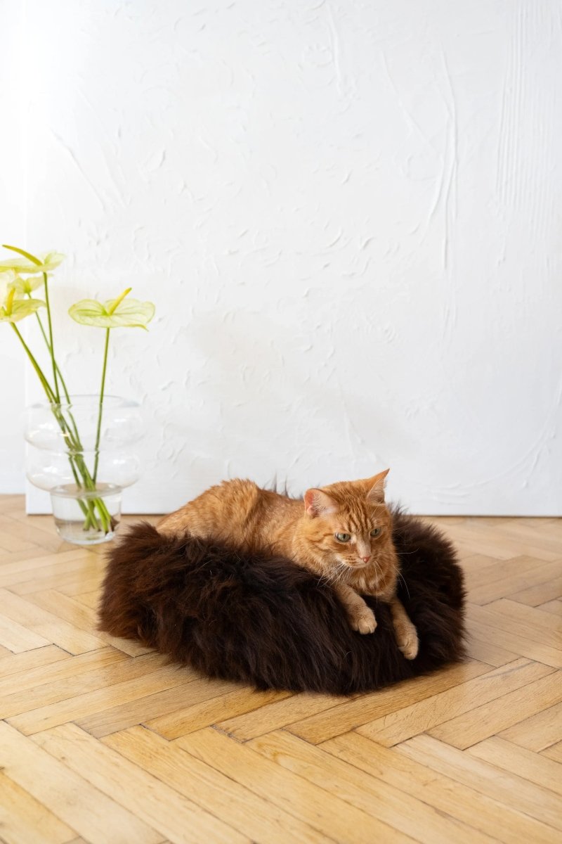 all dogs products all cats products all small animal products