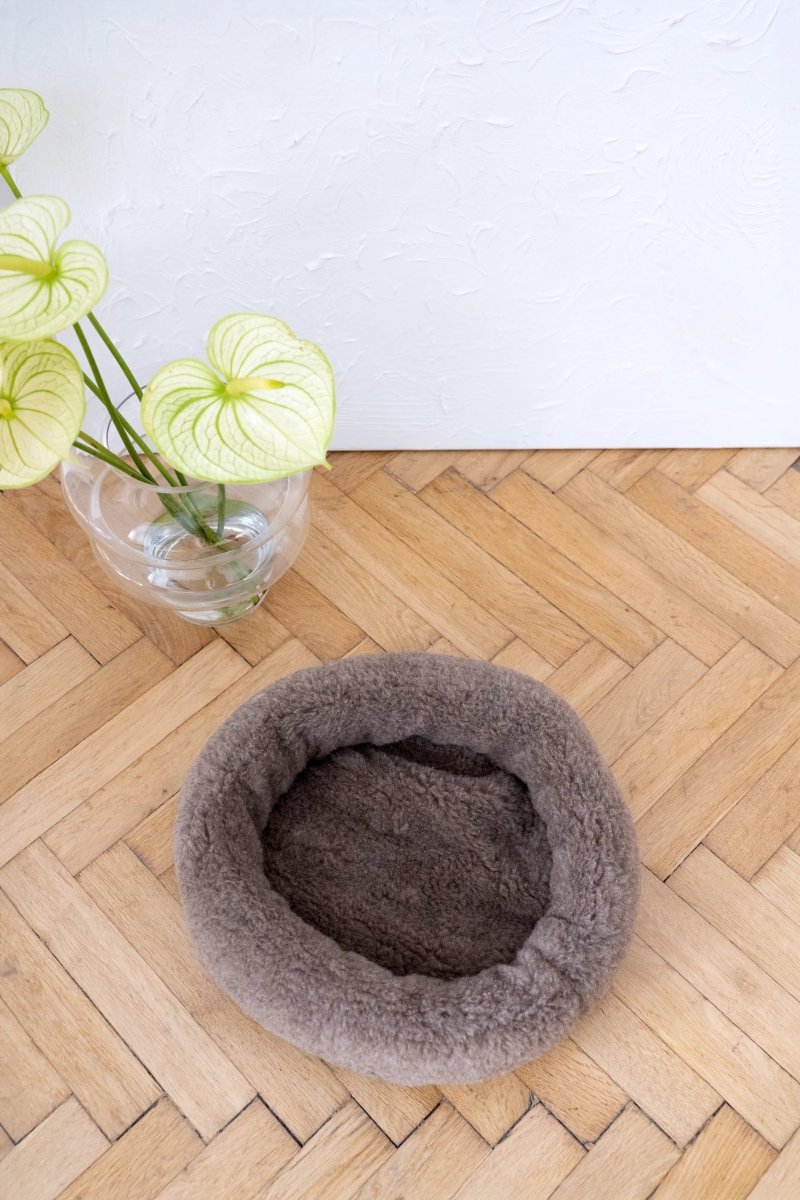 all dogs products all cats products all small animal products