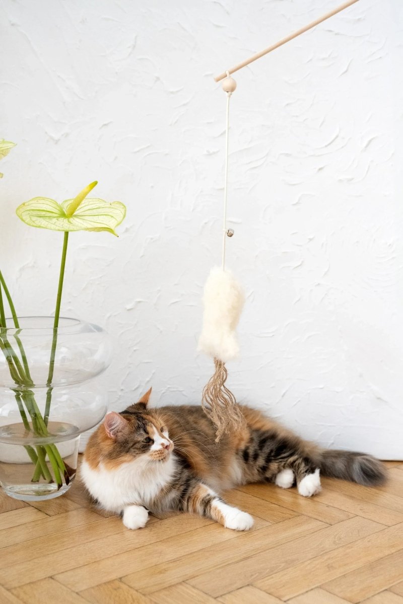 all dogs products all cats products all small animal products