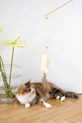 all dogs products all cats products all small animal products