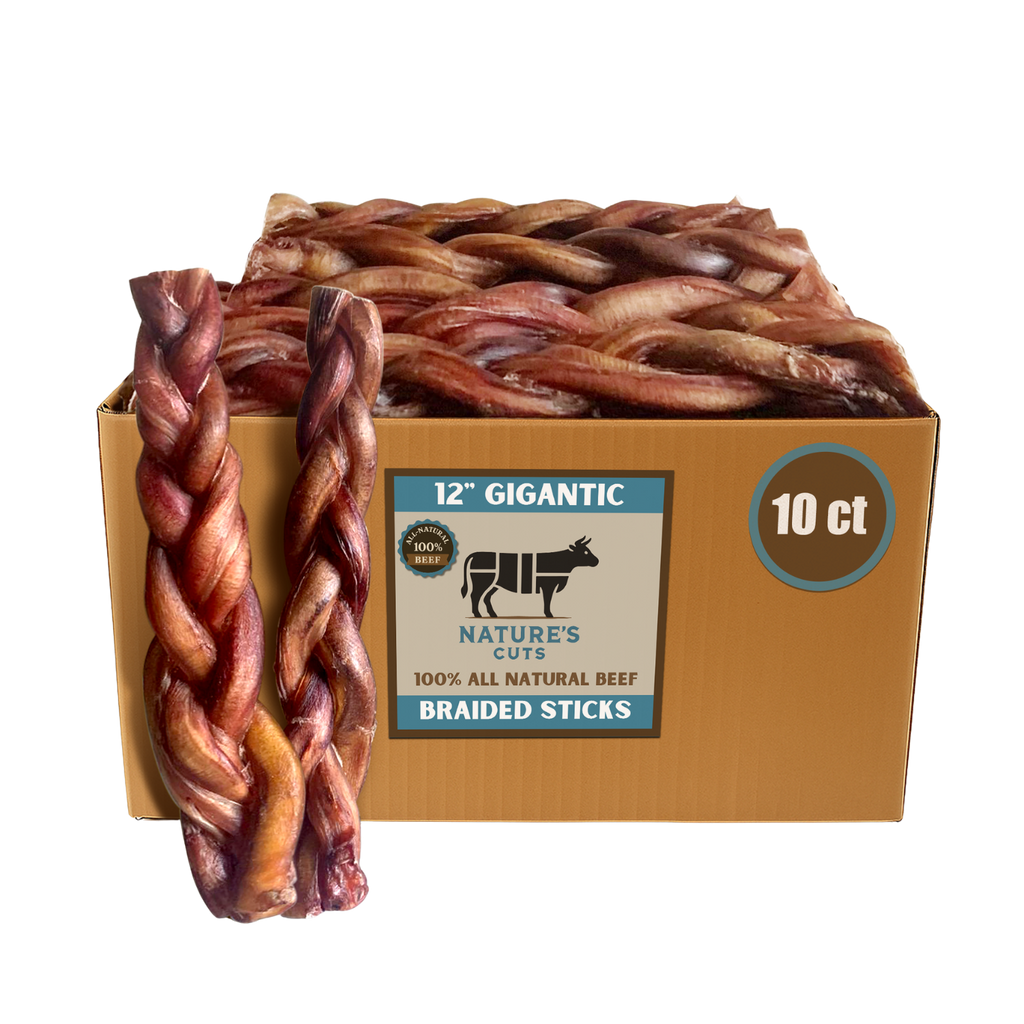 12" Gigantic Braided Bully Sticks