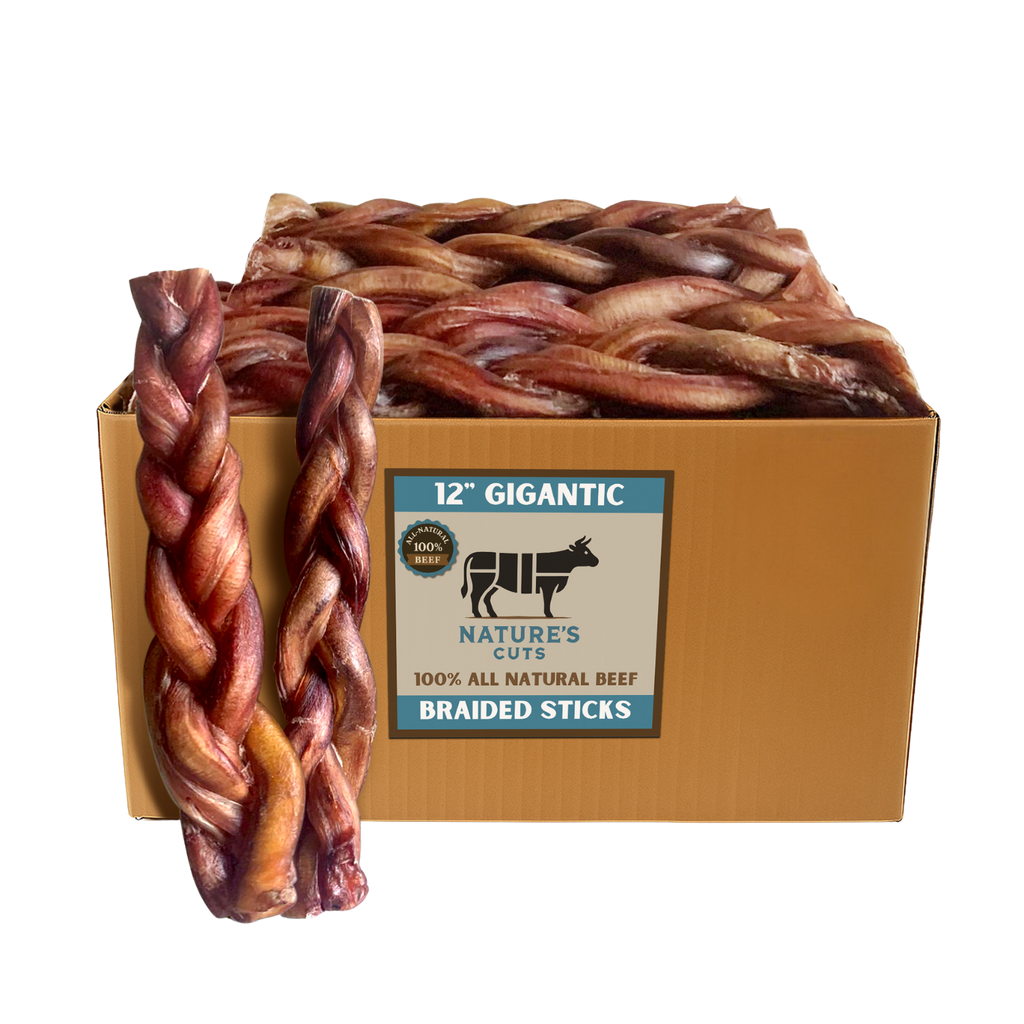 12" Gigantic Braided Bully Sticks