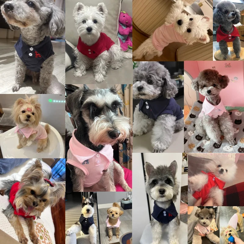 New Pet Dog Polo Shirt for Small Dogs