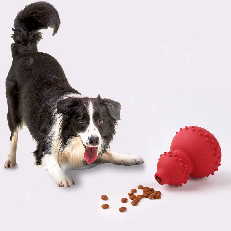 all dogs products all cats products all small animal products