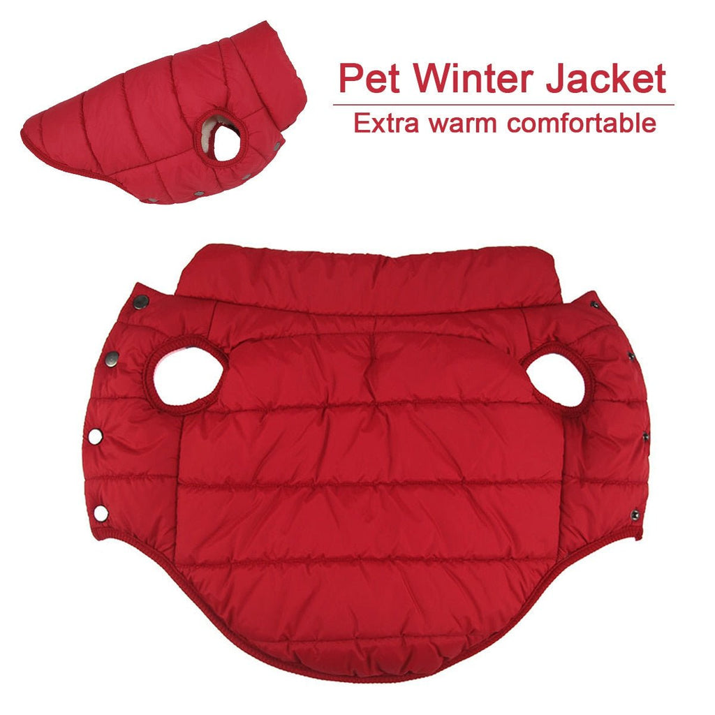 all dogs products all cats products all small animal products