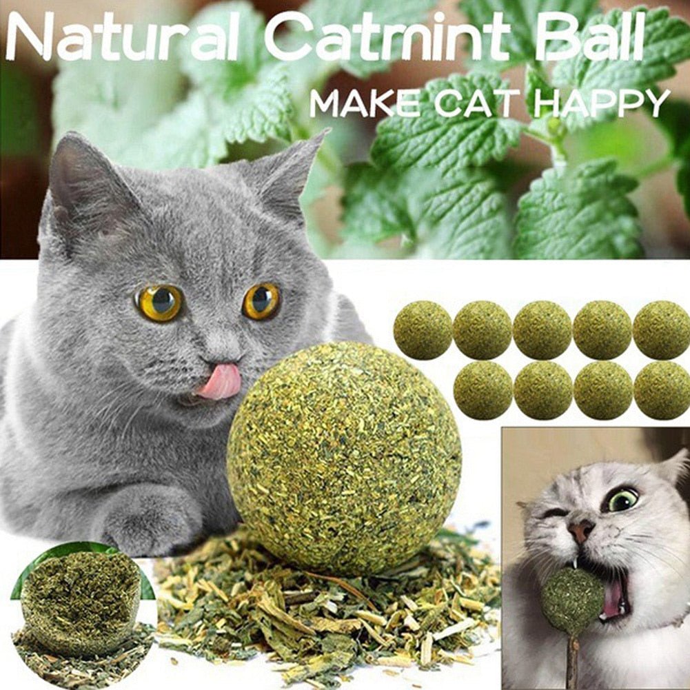 all dogs products all cats products all small animal products