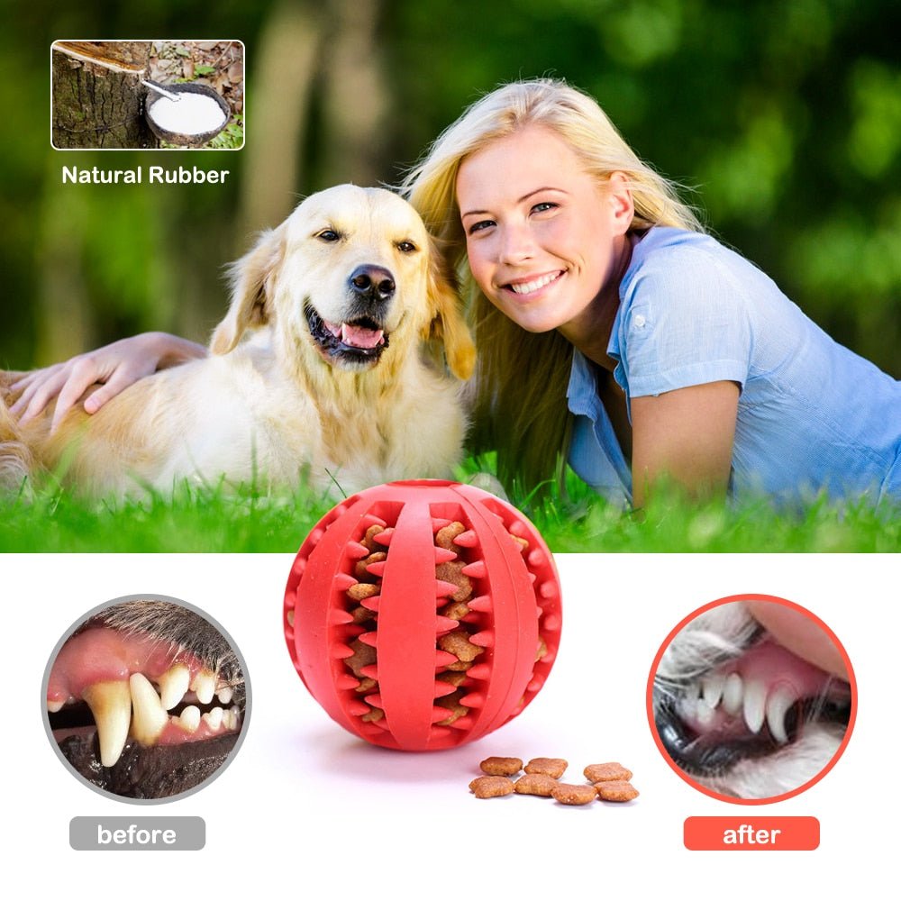 all dogs products all cats products all small animal products