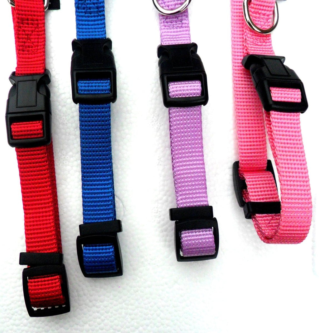 all dogs products all cats products all small animal products