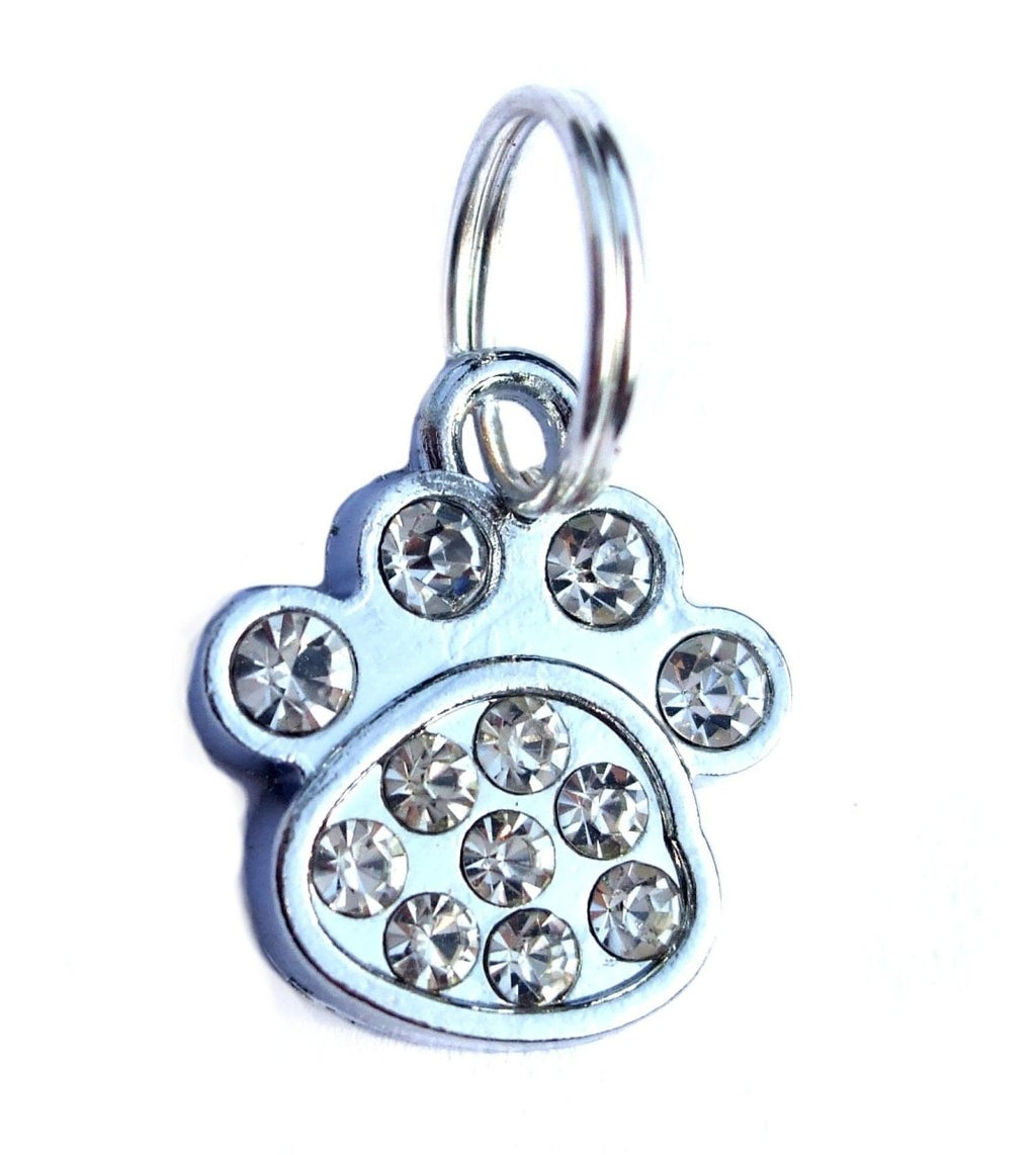 all dogs products all cats products all small animal products
