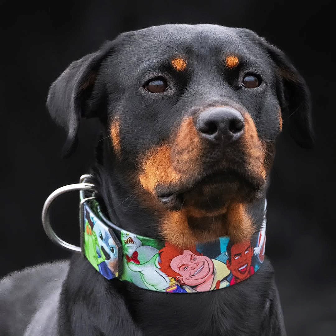 all dogs products all cats products all small animal products