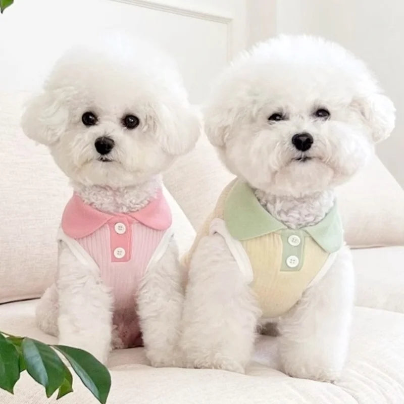 Summer Dog Polo Shirt for Small Dogs
