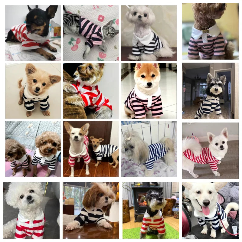 Summer Dog Polo Shirt for Small Dogs