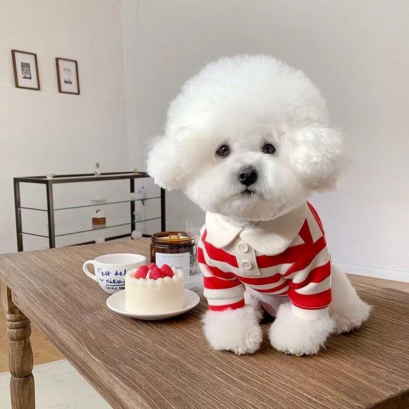 Summer Dog Polo Shirt for Small Dogs