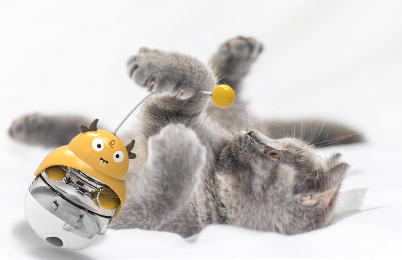 all dogs products all cats products all small animal products