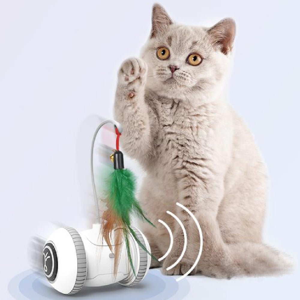 all dogs products all cats products all small animal products