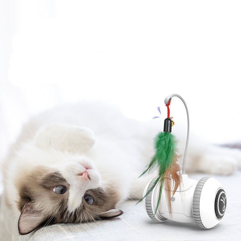 all dogs products all cats products all small animal products