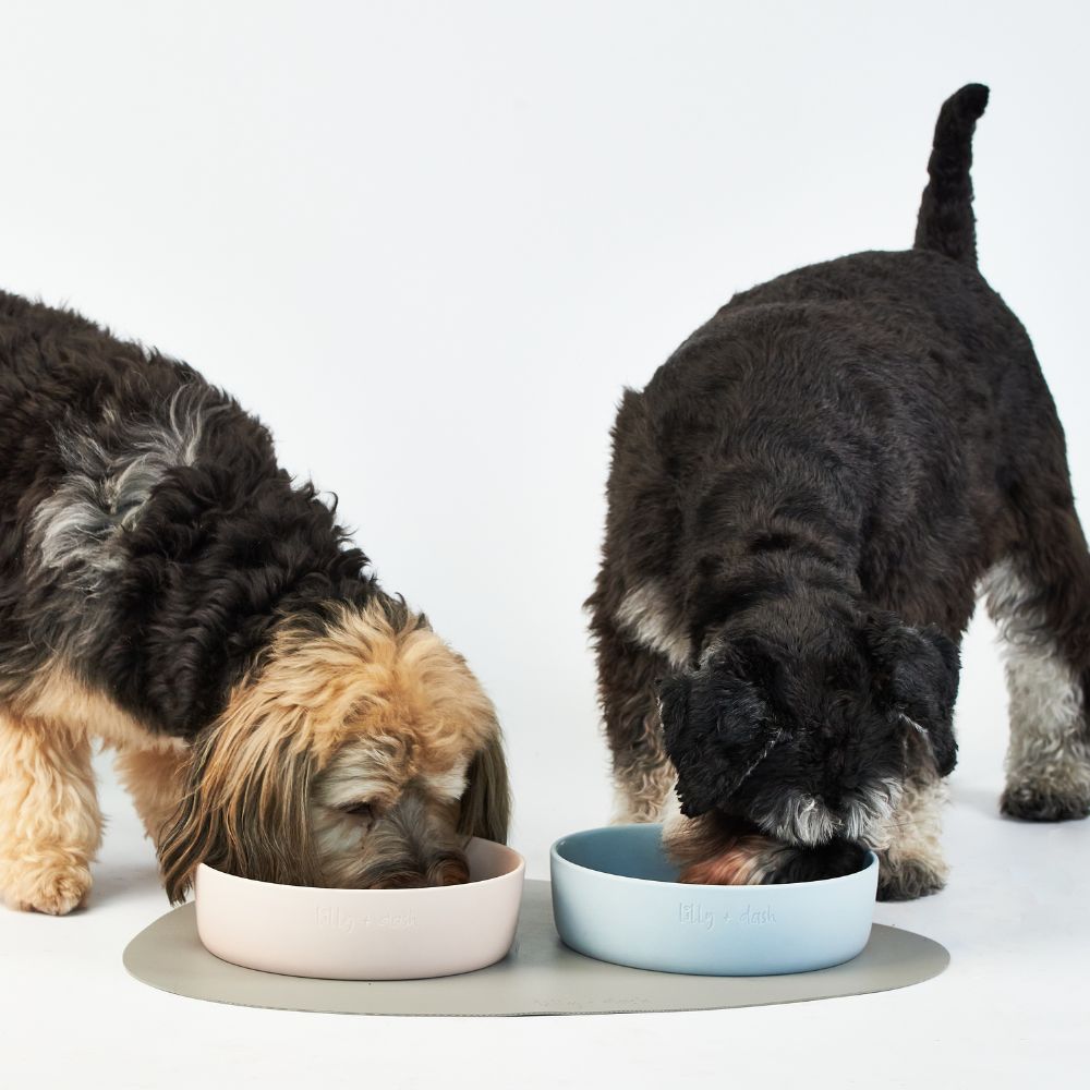 all dogs products all cats products all small animal products