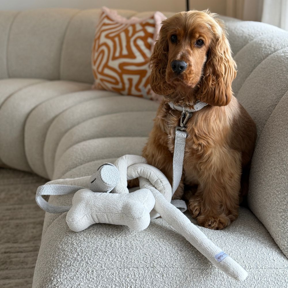 all dogs products all cats products all small animal products