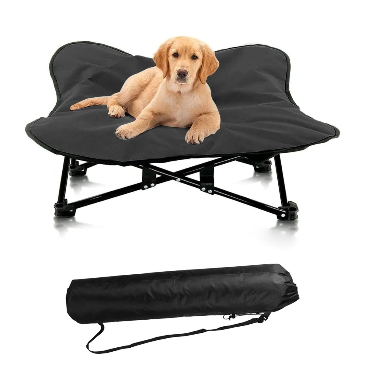 all dogs products all cats products all small animal products