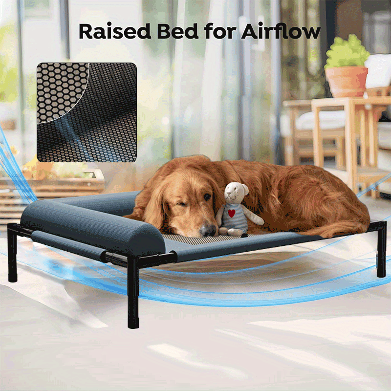 all dogs products all cats products all small animal products