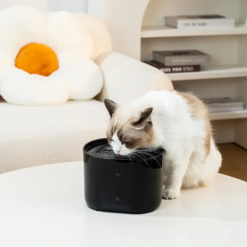 all dogs products all cats products all small animal products