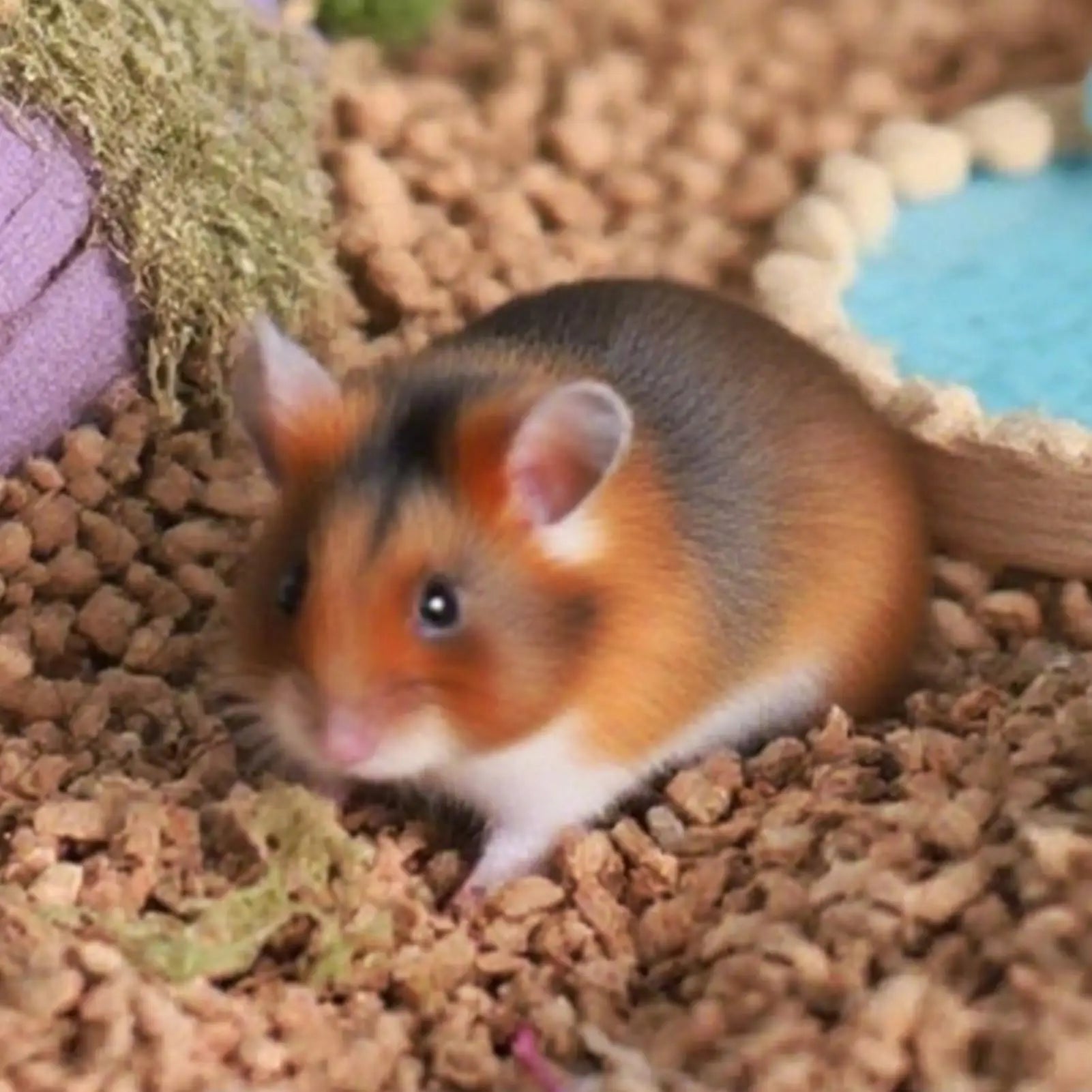 Small Pet Bedding Comfort Absorbing Natural Pet Litter Hamster Gerbil Nesting Material For Squirrels Mices Bunny Gerbils