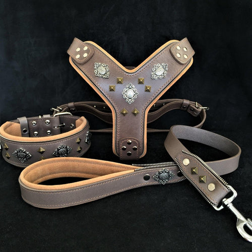 all dogs products all cats products all small animal products