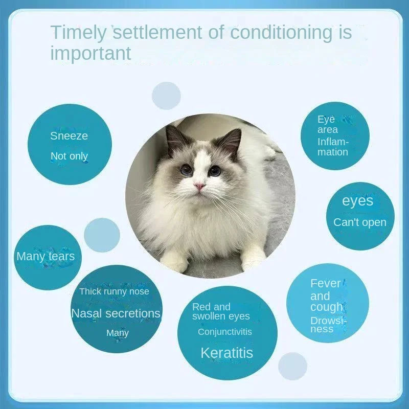 Cat Nose Branches, Sneezing, Thick Snout, Stuffed Nose, Cold, Small Eyes, Nutritional Supplements