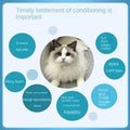 Cat Nose Branches, Sneezing, Thick Snout, Stuffed Nose, Cold, Small Eyes, Nutritional Supplements