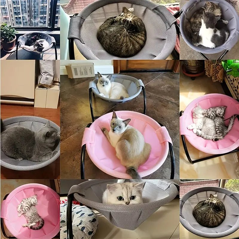 all dogs products all cats products all small animal products