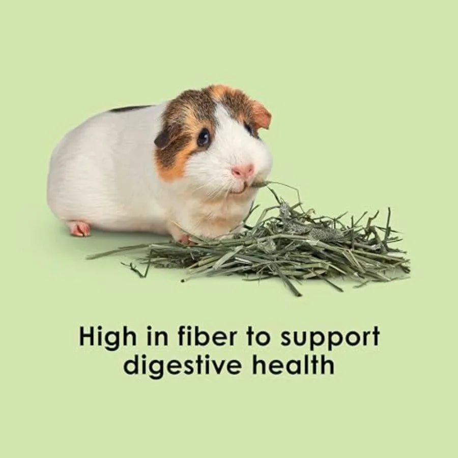 Timothy Hay High Fiber Grown Specifically for Small Animals Rabbits Guinea Pigs Chinchillas Ideal Bulk Order for Small Pets 12