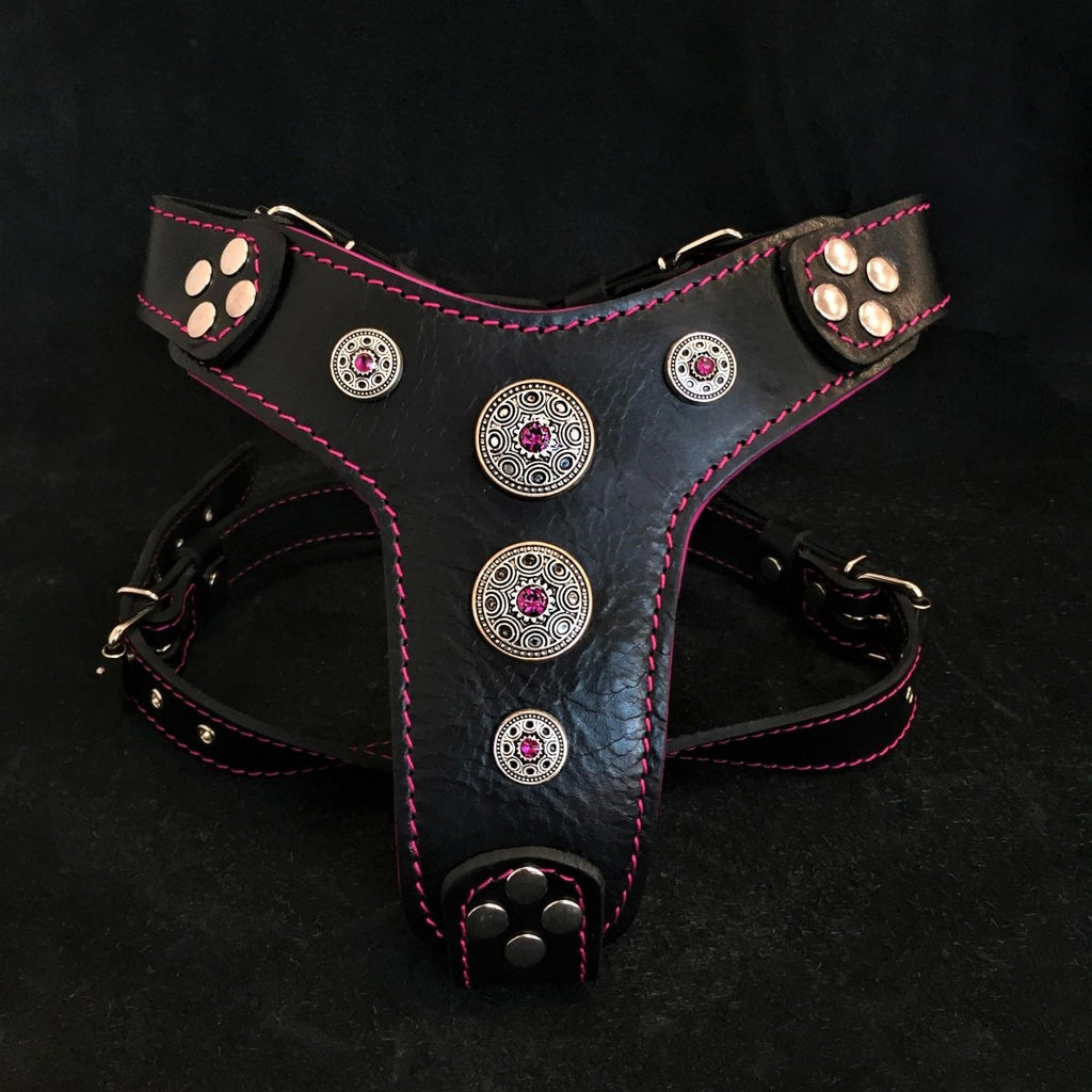 all dogs products all cats products all small animal products