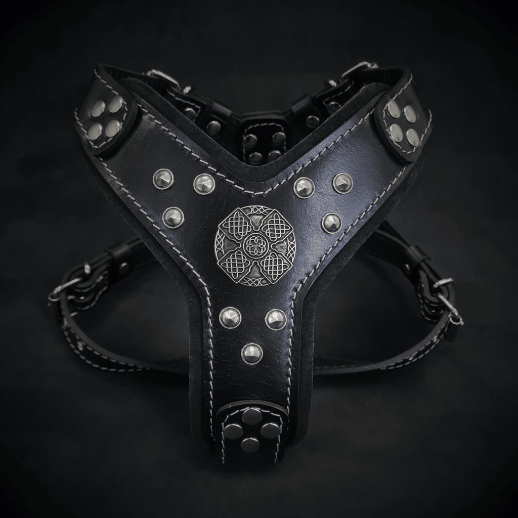 all dogs products all cats products all small animal products