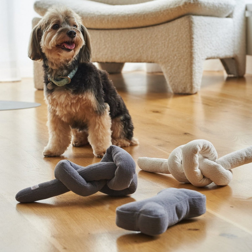 all dogs products all cats products all small animal products