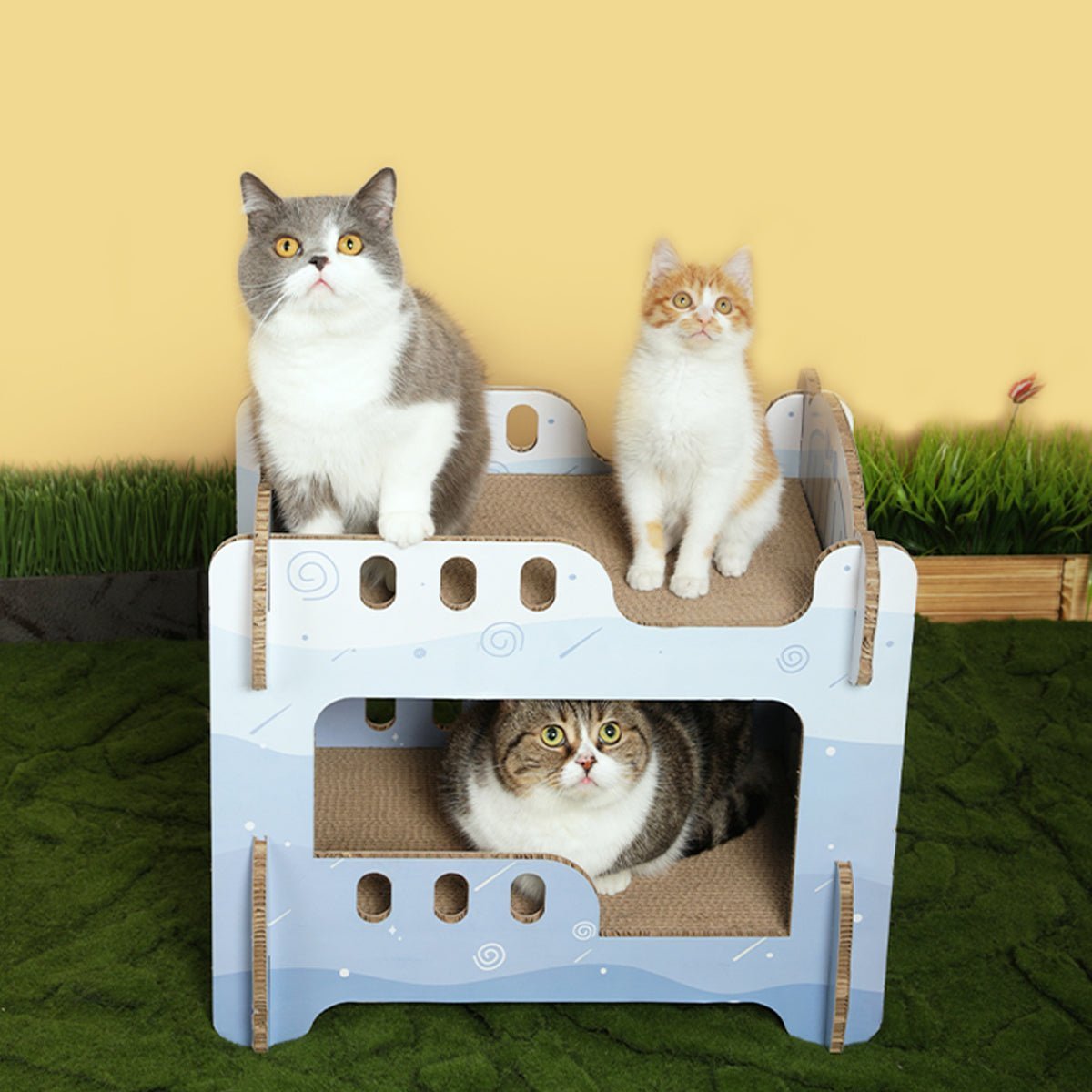 all dogs products all cats products all small animal products