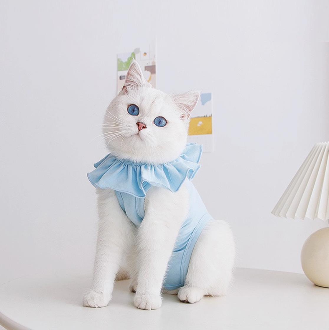 all dogs products all cats products all small animal products