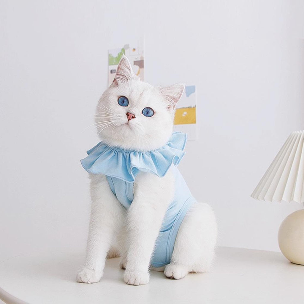 all dogs products all cats products all small animal products