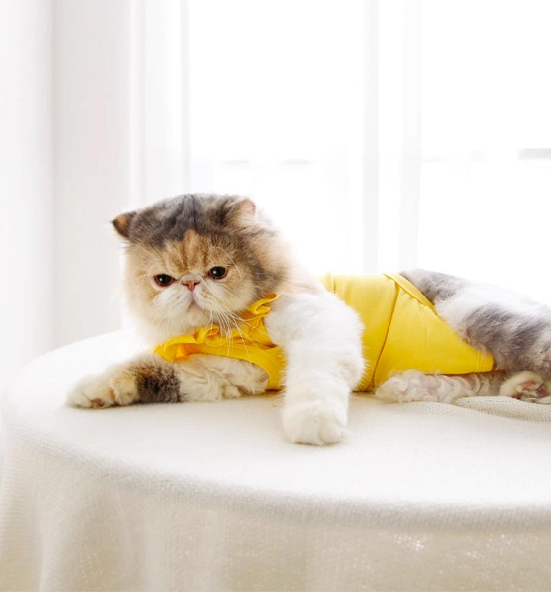 all dogs products all cats products all small animal products