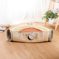 Cat Adventure Play Set