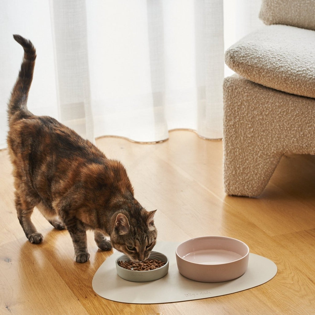 all dogs products all cats products all small animal products