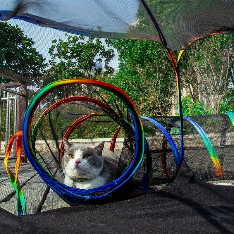 all dogs products all cats products all small animal products