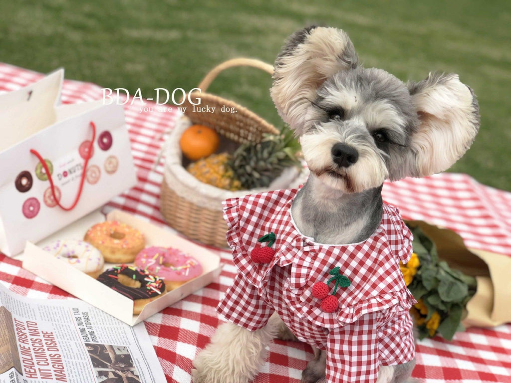 Checkered Summer Dog Shirt: Stylish And Breathable For Small Dogs