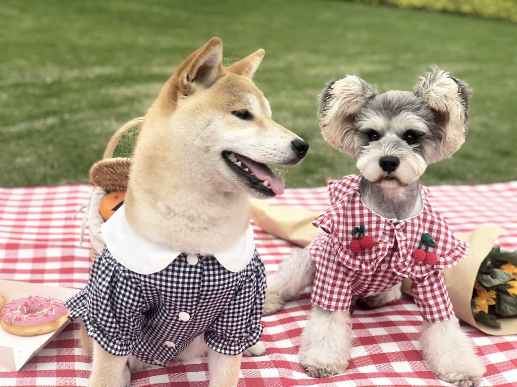 Checkered Summer Dog Shirt: Stylish And Breathable For Small Dogs