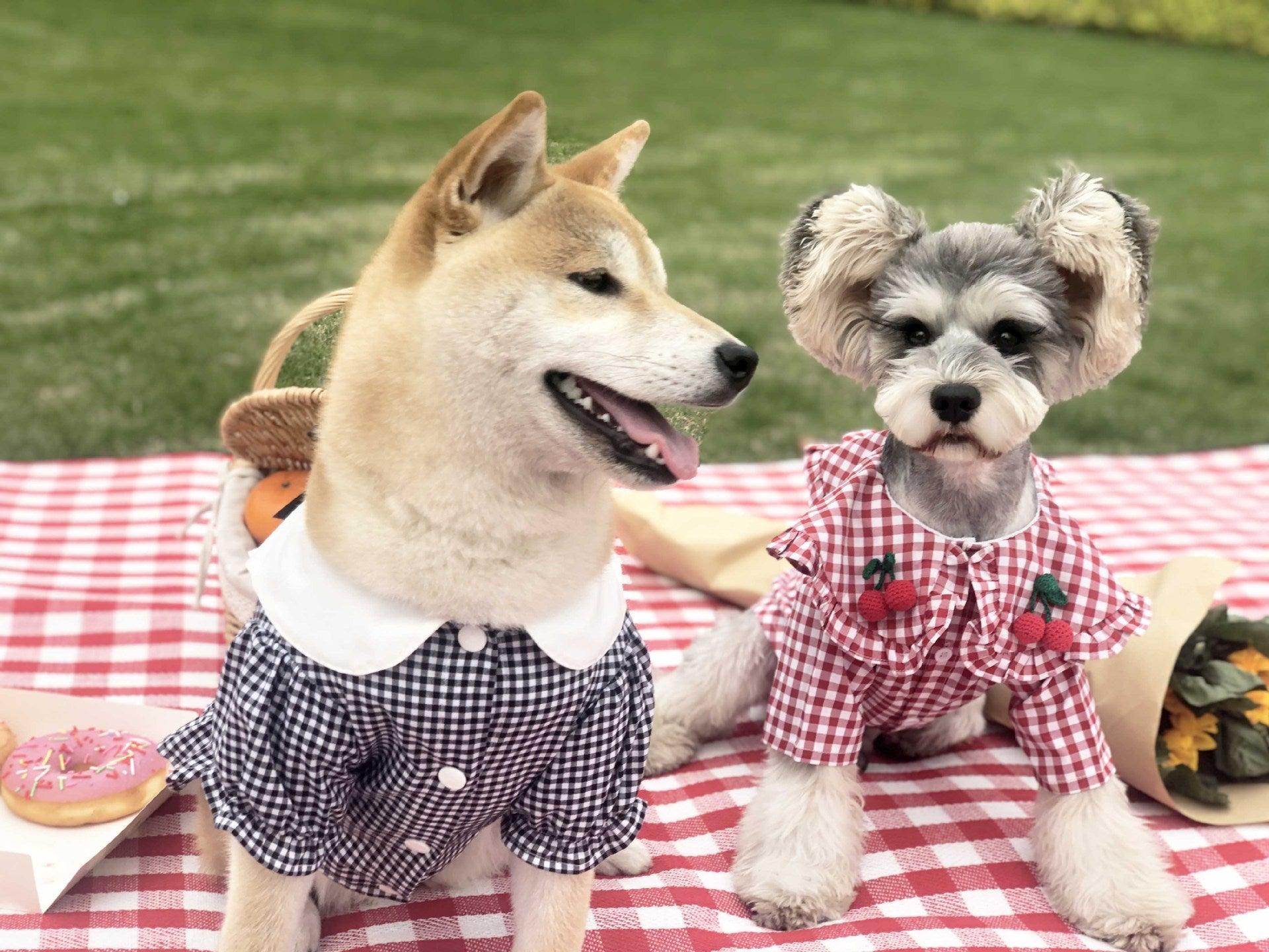 Checkered Summer Dog Shirt: Stylish And Breathable For Small Dogs